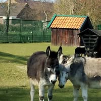 Kinderboerderij Het Galjoen