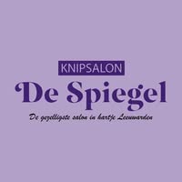 Knipsalon de Spiegel