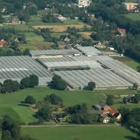 Kwekerij Arends Paterswolde