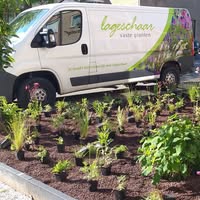 Lageschaar Vaste Planten