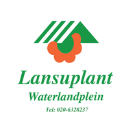 Lansuplant Waterlandplein  Bloemen winkel Amsterdam Noord  020 632 8237