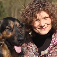 Learn Dutch Fast in Bussum