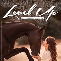 Level Up magazine