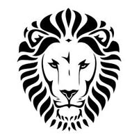 Lions Men's Basketball
