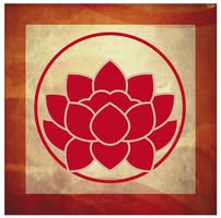 Lotus Design Winkel