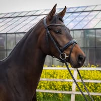 Manege de Veluw