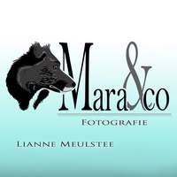 Mara & co Fotografie