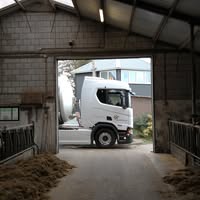 Melktransport Stam