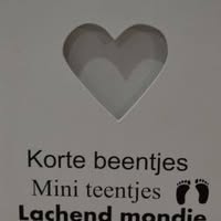 Metalrose meppel