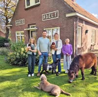 Mini camping Arbeid Adelt