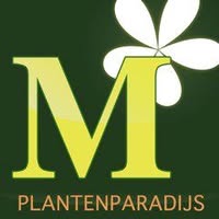 Moerkerks Plantenparadijs