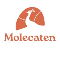 Molecaten Park Hoogduin