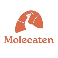 Molecaten Park Waterbos