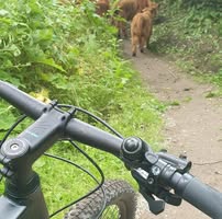 Mountainbike Parcours Vlaardingen