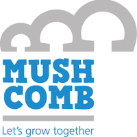 Mush Comb