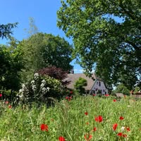Natuurcamping Eelerberg