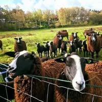 Natuurlandgoed de Kamp