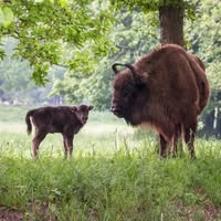 Natuurpark Lelystad