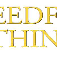 Needful things overdekte rommelmarkt