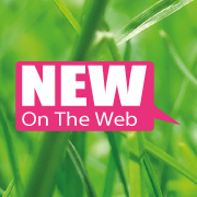 New On The Web