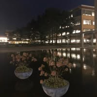 Nike Hilversum