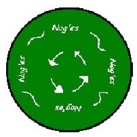 Noges