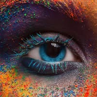 Optiek Monique