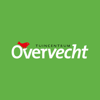 Overvecht