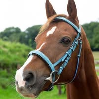Paardensportcentrum Carolina
