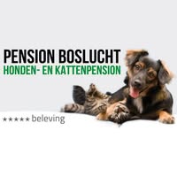 Pension Boslucht