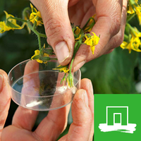 Plant Breeding, Wageningen UR