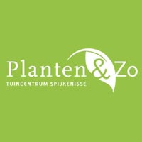 Planten Enzo