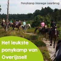 Ponykamp Manege Laarbrug