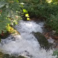 Praktijk Natuurgeneeswijze Petra van Dongen