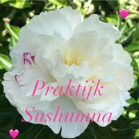 Praktijk Sushumna