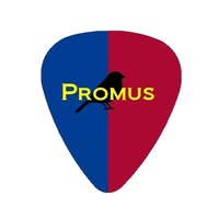 Promus Webdesign