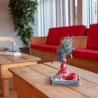 Recreatie 't Lohr - Groepsaccommodatie en vakantiehuis