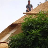 Rietdekkersbedrijf Tonny van den Beld