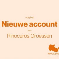 Rinoceros Groessen