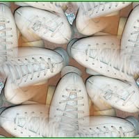 Rolschaatsvereniging SEO