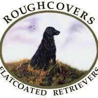 Roughcovers