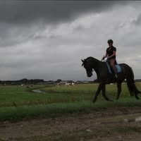 Ruitershop Rendum
