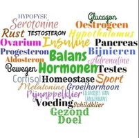 Salon Chanti   Pedicure  Beauty  Wellness
