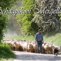 Schaapskooi Mergelland